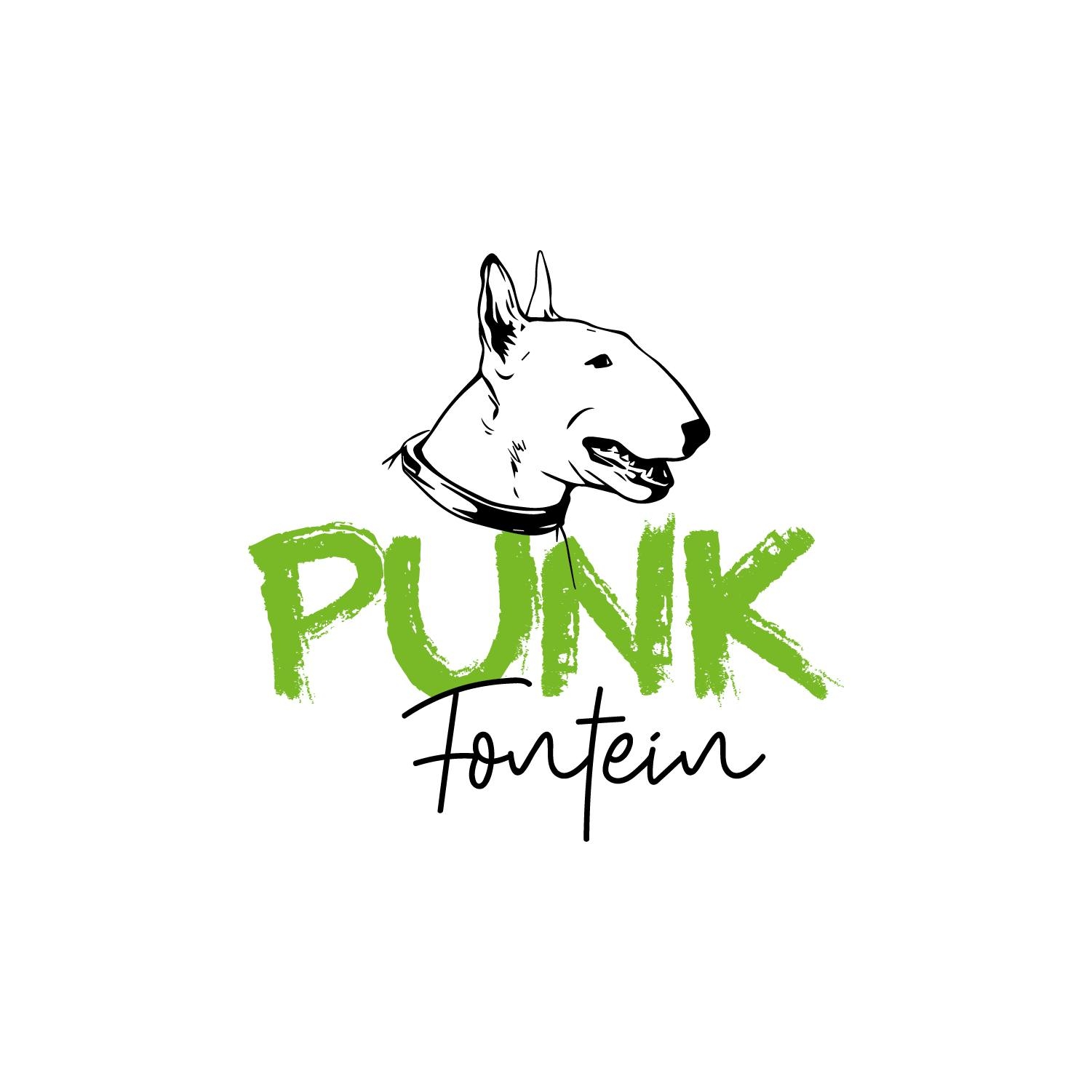 Punkfontein