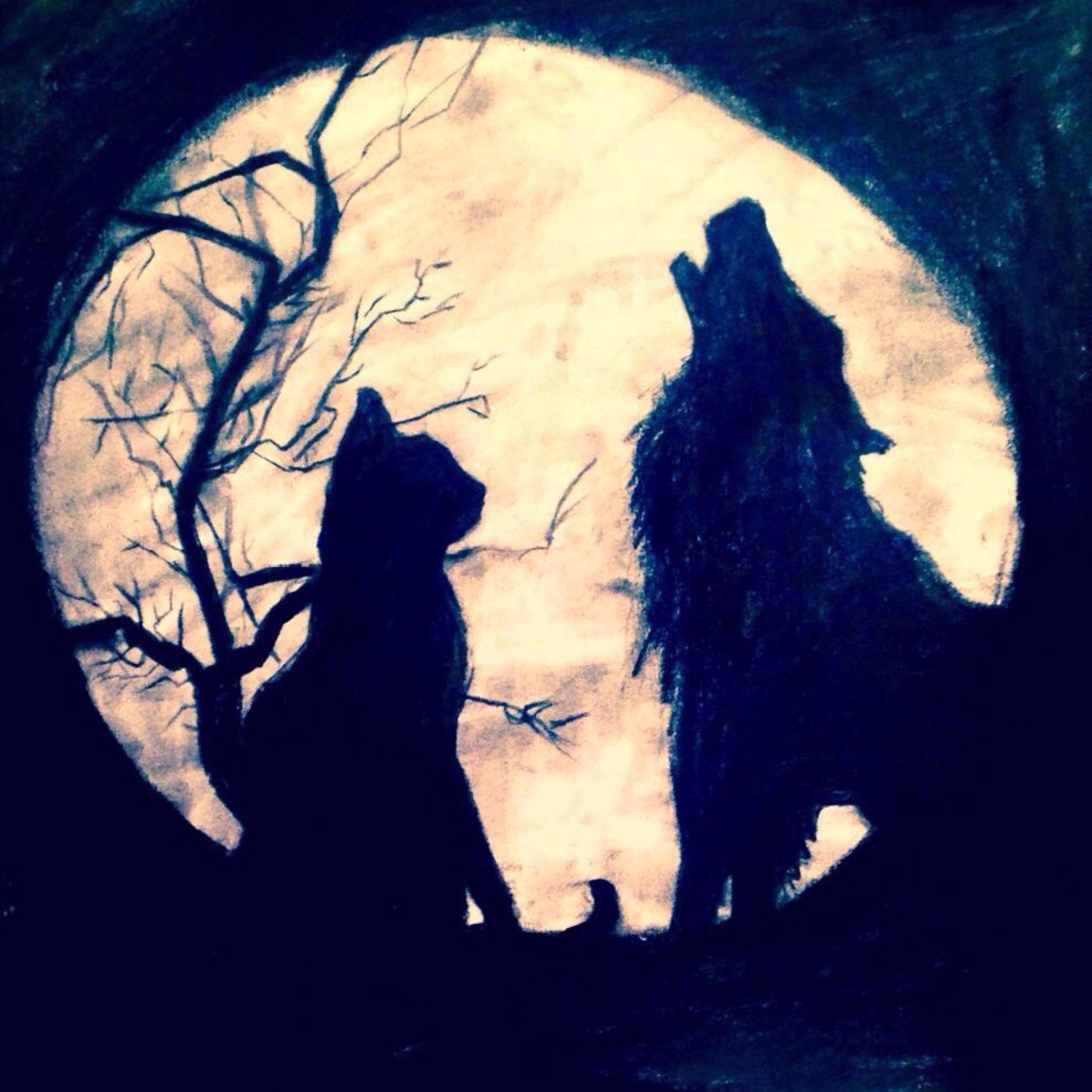 Kat & Wolf