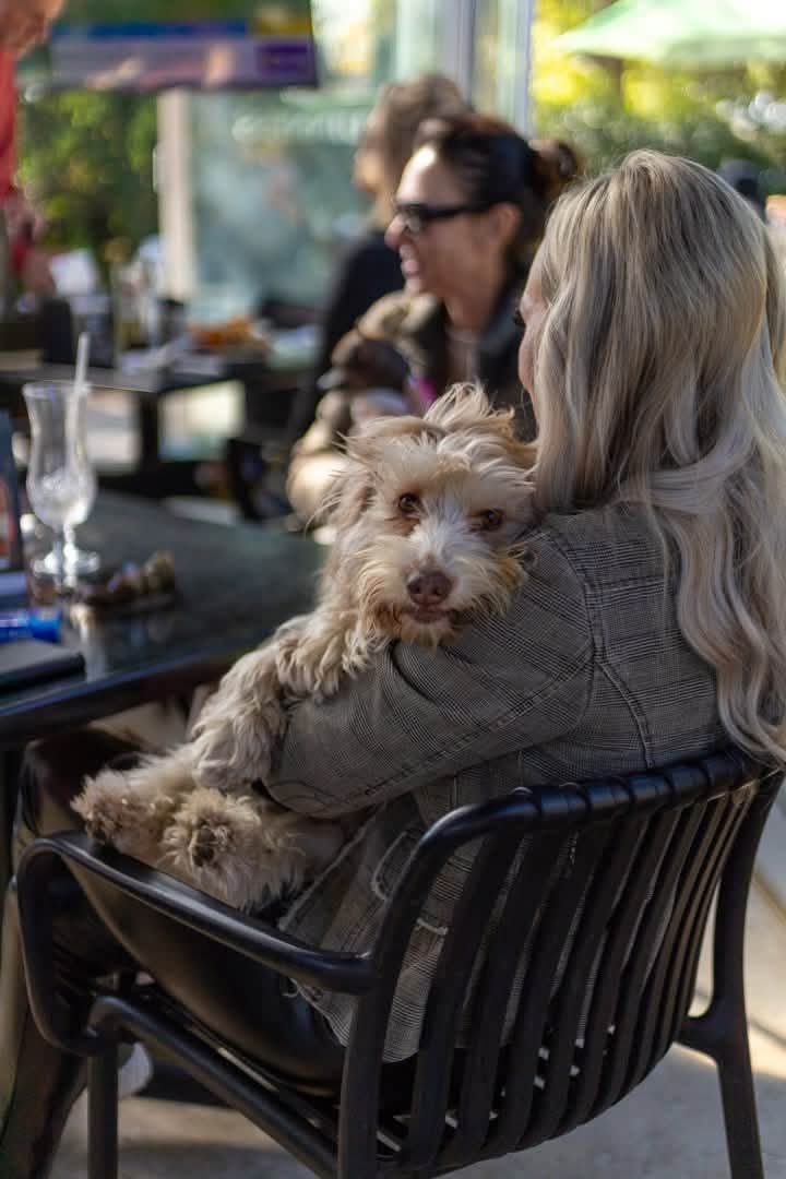 Easy Like a Sunday at Country Pub - Image 1