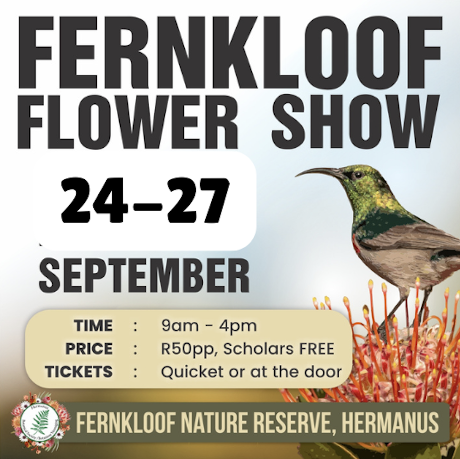 FERNKLOOF IN COLOUR
