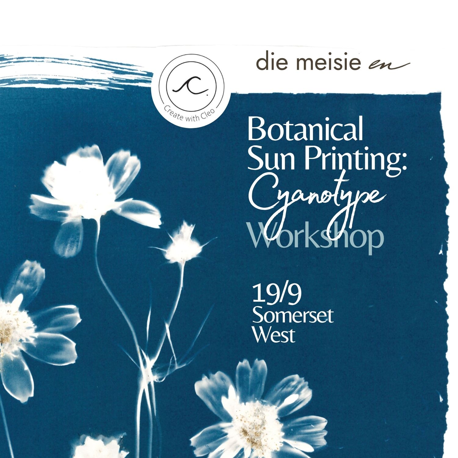 Botanical Sun Printing: Cyanotype Workshop