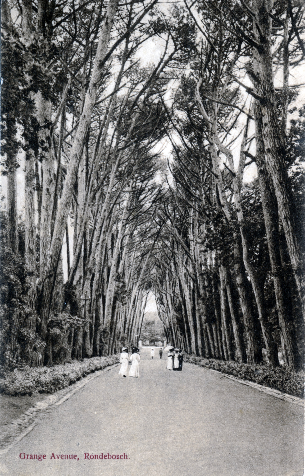 Craft Burghers - A Heritage Walking Tour Up the Liesbeek River
