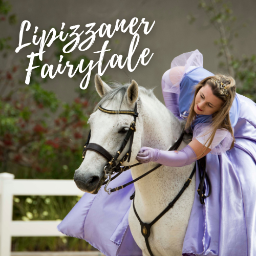 A Mistico Spring Spectacular with the South African Lipizzaners