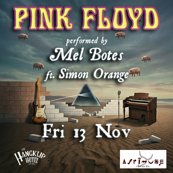 PINK FLOYD by Mel Botes ft.Simon Orange