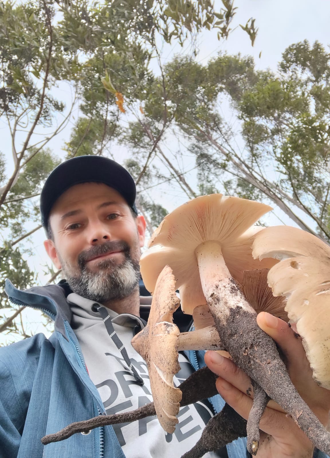 Mtunzini Mushroom Foray