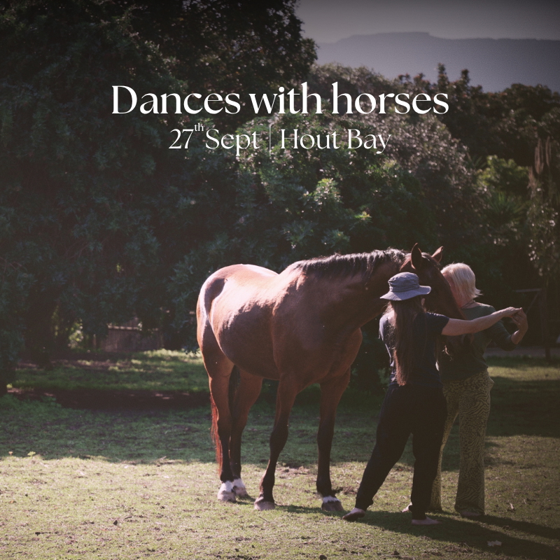 Dances with Horses
