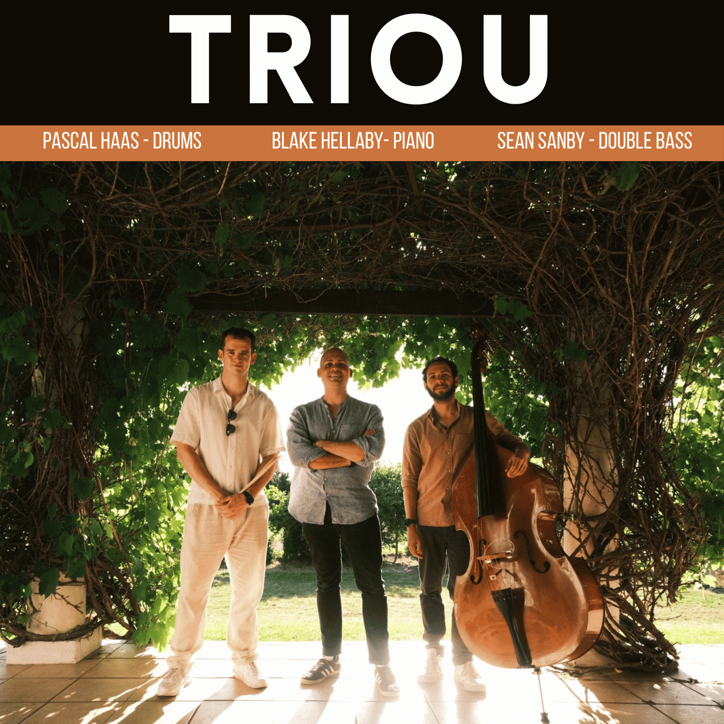 Triou | Johnman Concerts