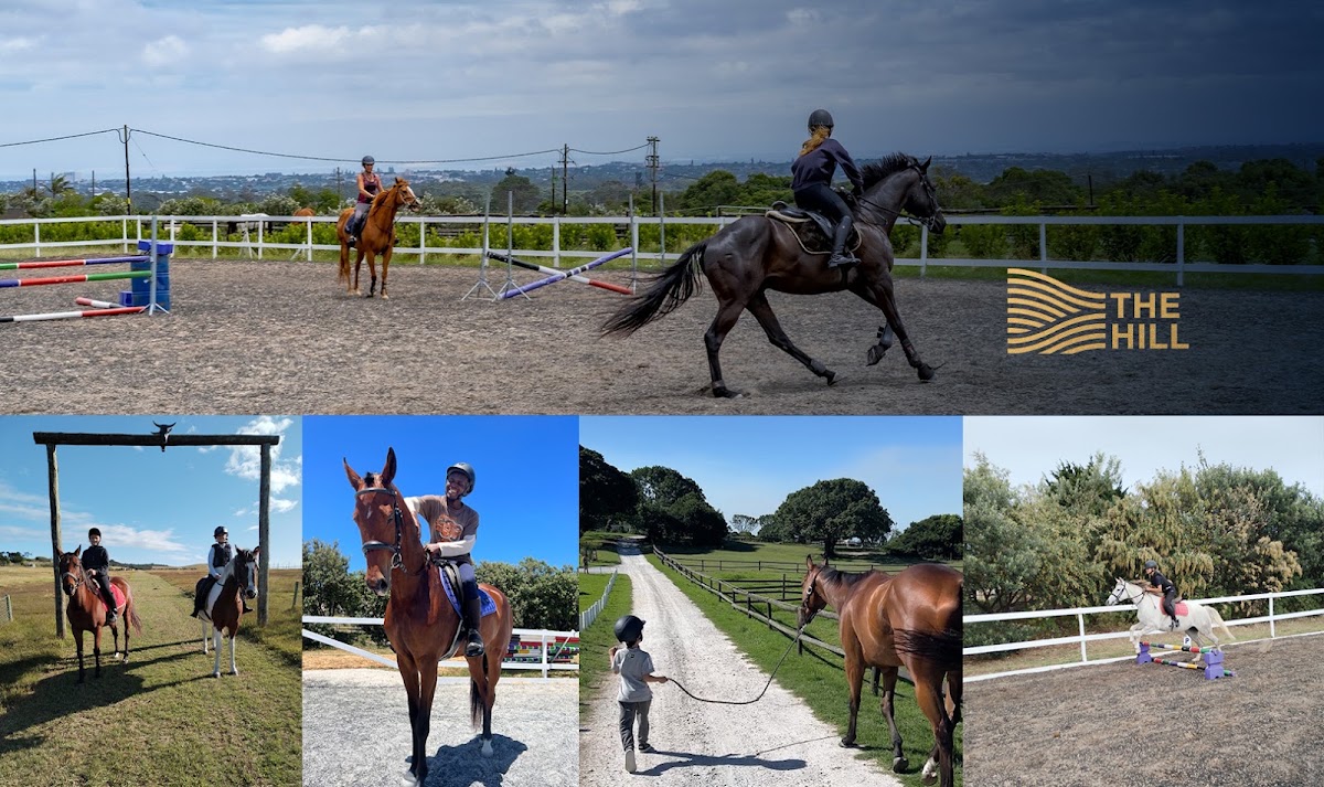 The Hill Equestrian