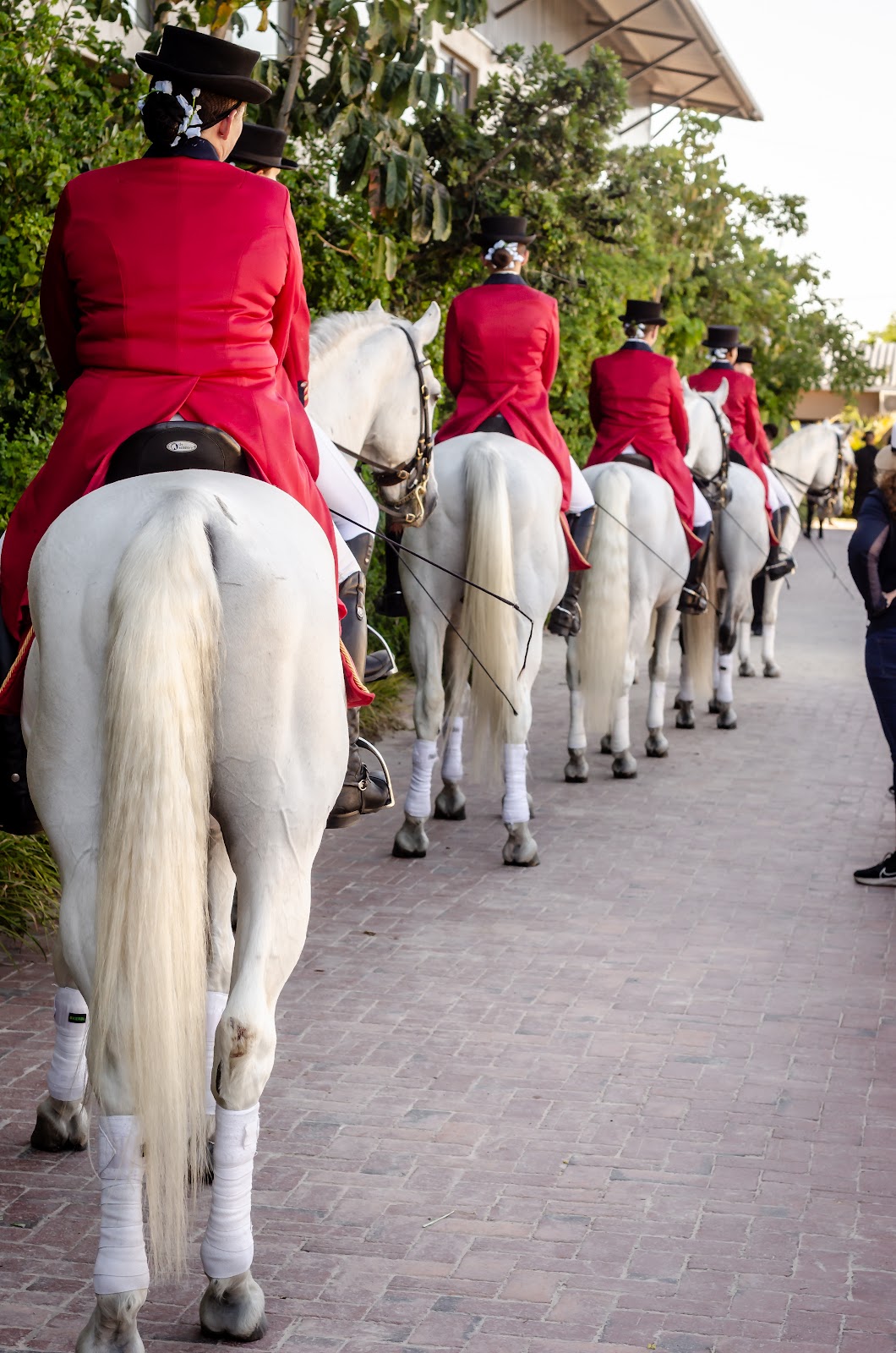Mistico Equestrian Centre