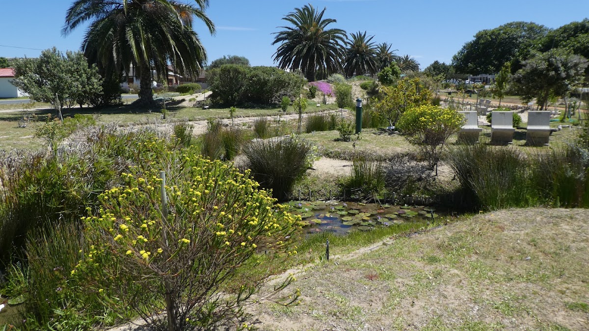 Tuin-op-die-Brak Botanical Garden