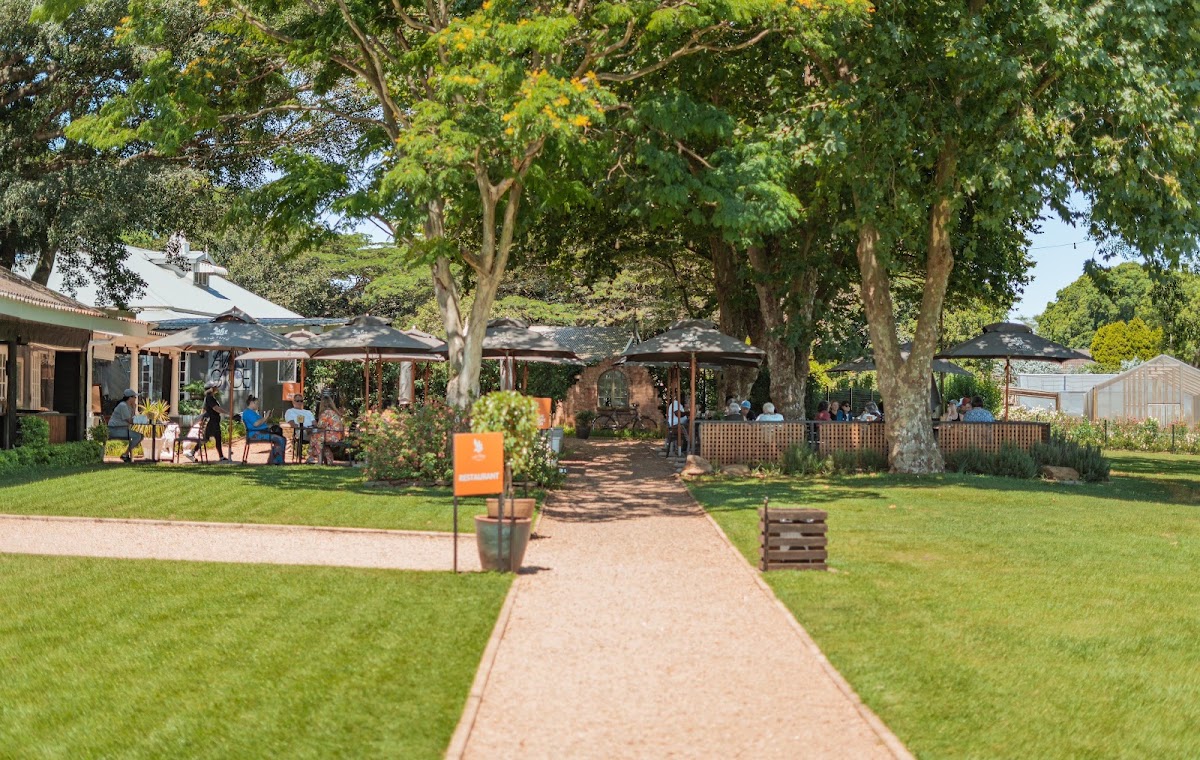Fig Tree Farm Hillcrest