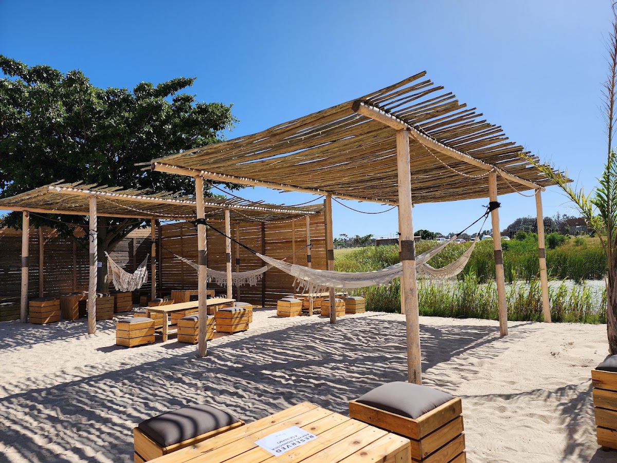 The Ostrich - Cape Town