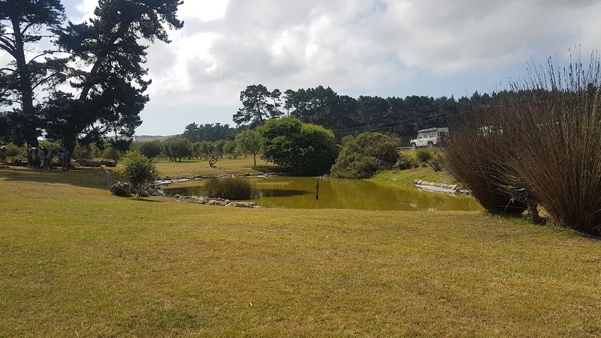 Jongensdal - Stilbaai