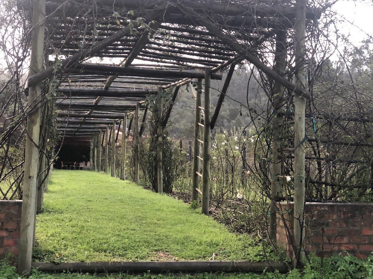 Bosky Dell Farm & Rose Garden