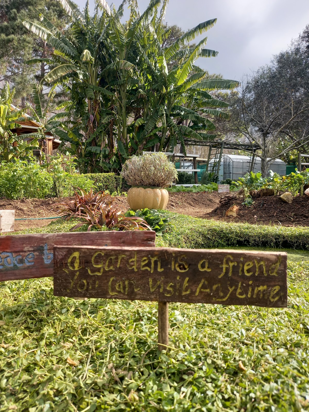 Soil for Life