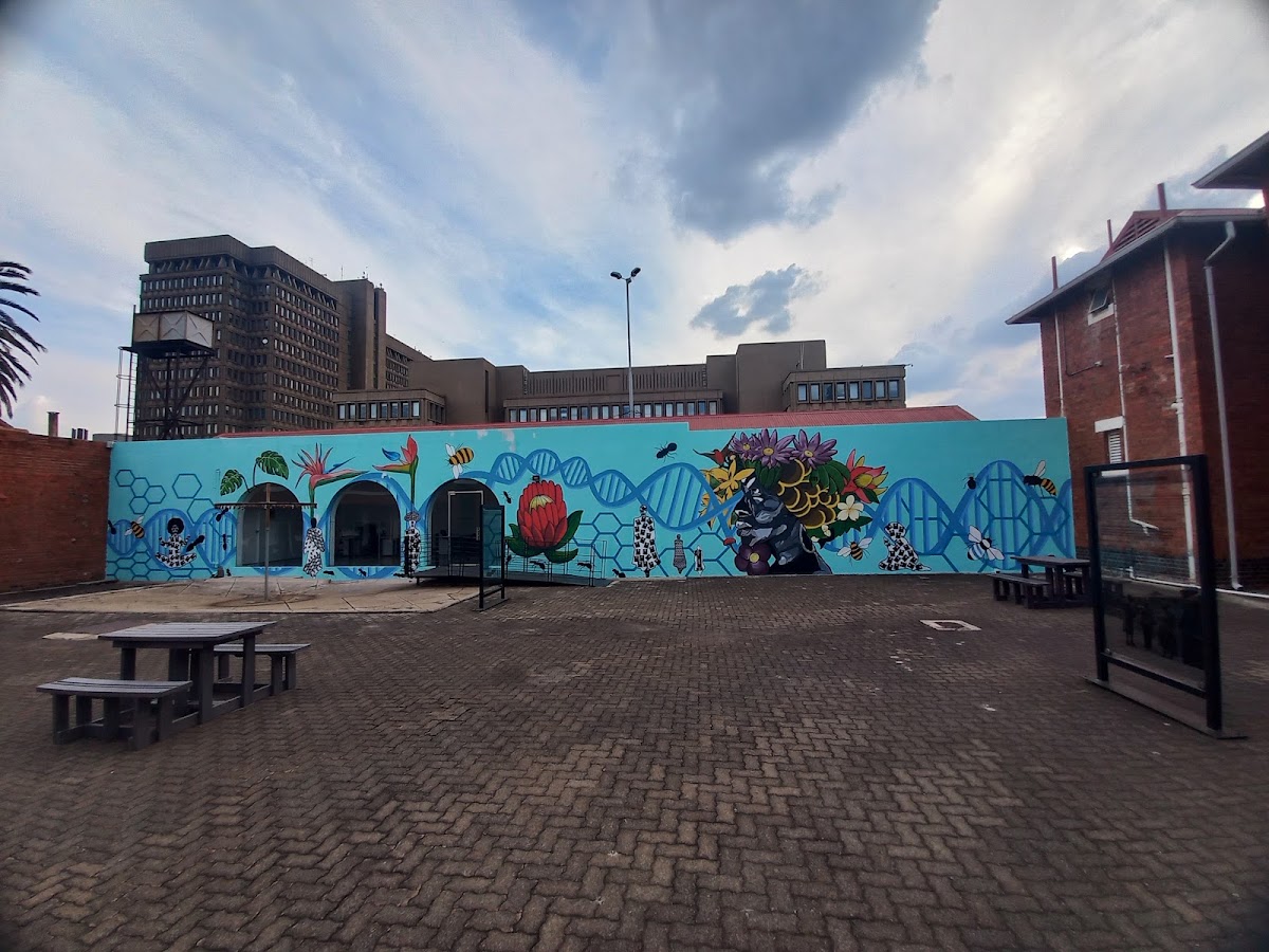 Constitution Hill Women's Jail