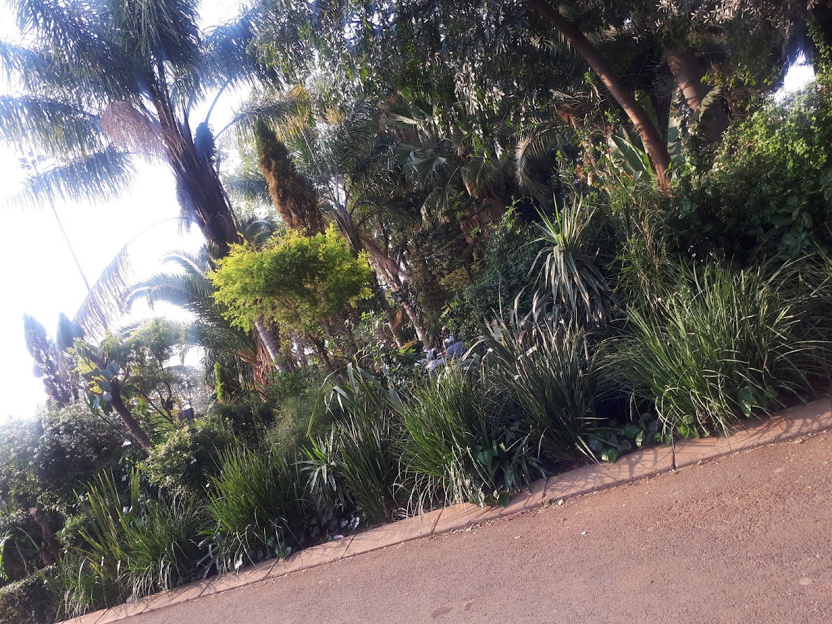 Makhulong Park