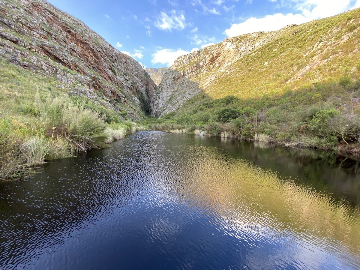 Greyton