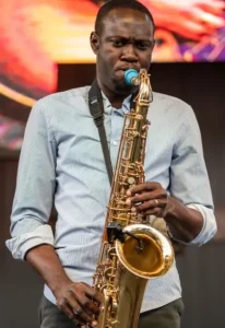 Wilson Adeosun