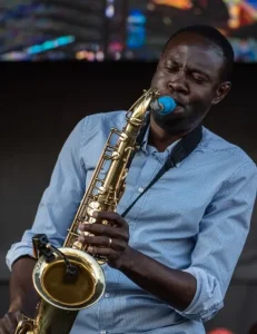 Wilson Adeosun