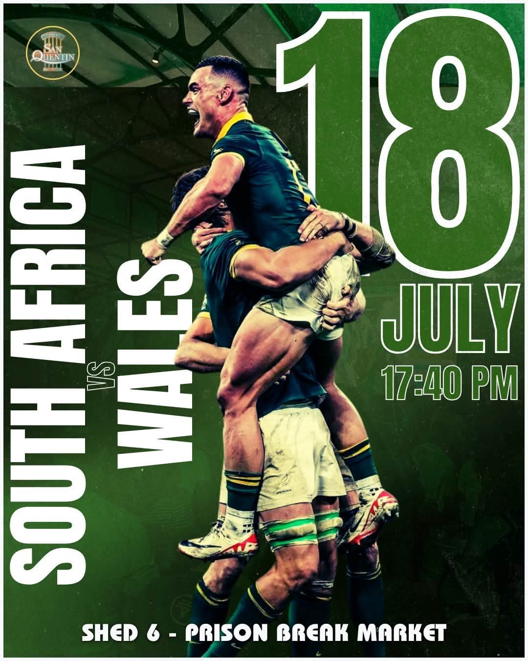 South Africa vs Wales