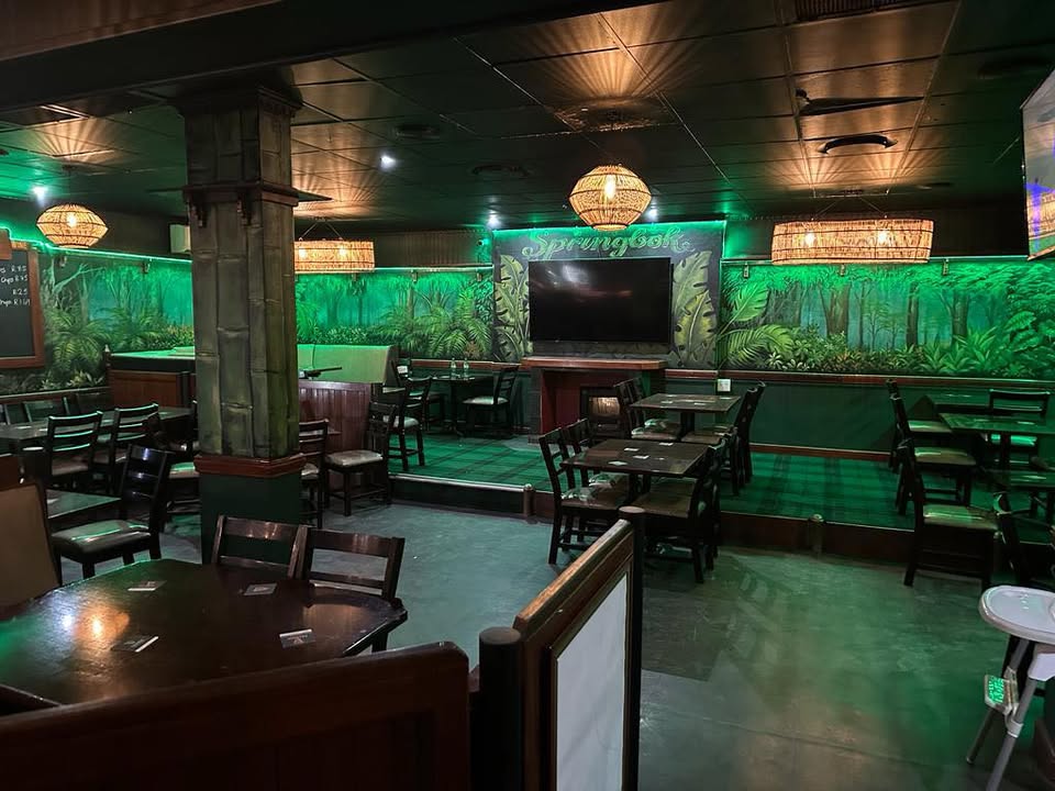 Springbok Bar No4