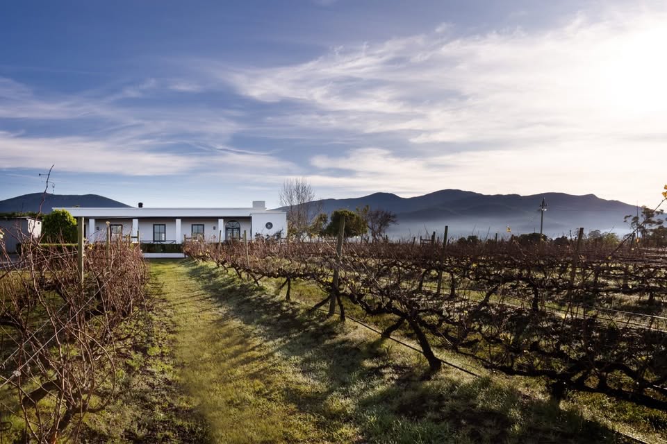 Bramon Wine Estate, Plettenberg Bay