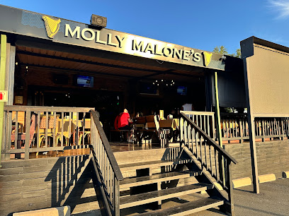 Molly Malone's - Gallery