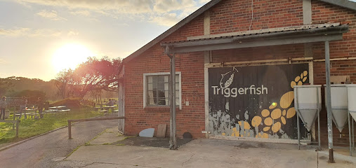 Triggerfish Brewing - Gallery