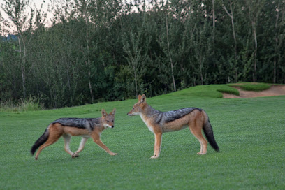 Jackal's Den, Jackal's Creek