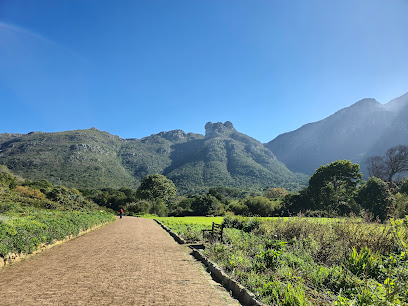 Kirstenbosch Gardens
