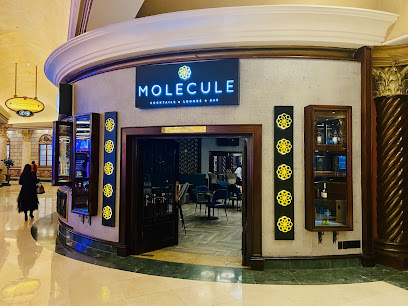 Molecule Cocktail Lounge, Emperors Palace